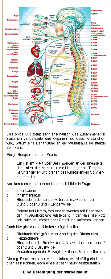 Die Praxis Steuerwald seit 1958 ist die Behandlung der Wirbelsäule eines ihrer Hauptbetätigungsfelder.